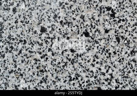 Monochromatic texture of granite surface. Detailed photo of the treated glossy granite stone, which is used as tiles for walls and floors. Stock Photo