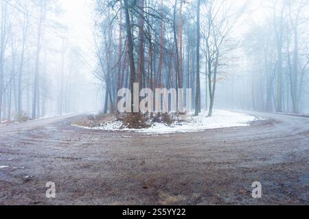 A sharp turn in a misty winter forest, eastern Poland Stock Photo