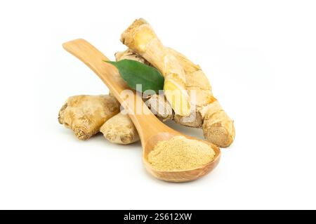 Fresh ginger root and ginger powder in wooden spoon isolated on white background, healthy spice, alternative medicine Stock Photo