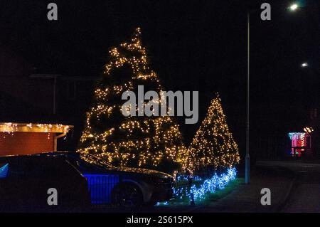 Christmas lights on trees in a suburban street in Bedford, Bedfordshire, England, UK Stock Photo