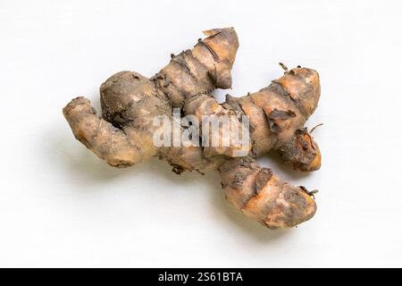 Fresh, raw turmeric root is displayed on a white background. Stock Photo