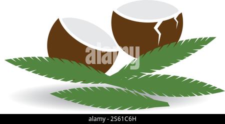 Coconut fruits vector ilustration design Stock Vector
