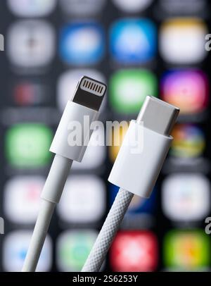 Rottweil, Germany. 15th Jan, 2025. A Lightning (l) and a USB-C charging cable are held in front of an iPhone 16 with apps open. Credit: Silas Stein/dpa/Ģ����ý Live News Stock Photo