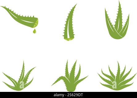 Aloe vera logo vector ilustration template Stock Vector