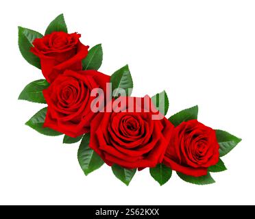 Red rose flowers in a floral arrangement isolated on white or transparent background. Stock Photo