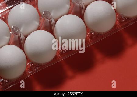 Close-up of white chicken eggs in plastic packaging on a red background. Stock Photo