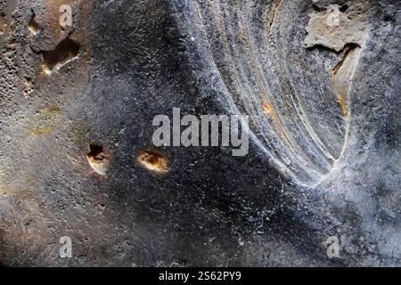 Macro close up of the surface of a sea shell: Black, grey, orange and brown colours with an abstract pattern. Background. Stock Photo