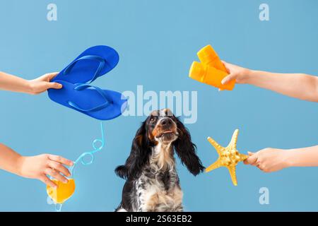 Cute cocker spaniel and hands with beach accessories on blue background Stock Photo