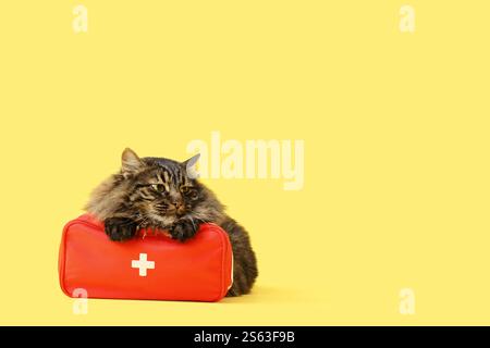 Cute cat with first aid kit on yellow background Stock Photo