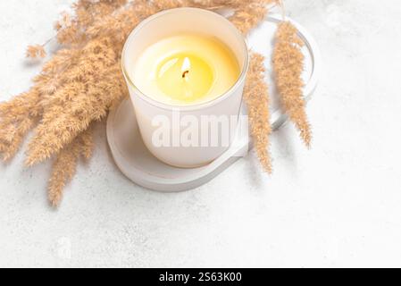 Cozy wax candle in white mat glass jar with dry reeds on white concrete background, top view, copy space. Burning scented candle with natural elements Stock Photo