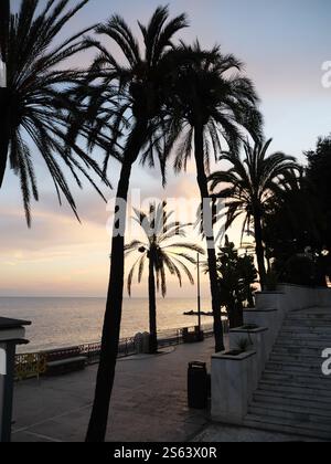 Silhouettes of Plamen in the sunset of Marbella Spain Stock Photo