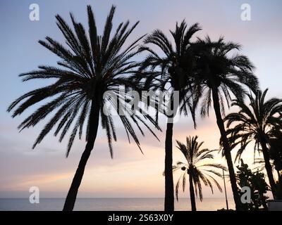 Silhouettes of Plamen in the sunset of Marbella Spain Stock Photo