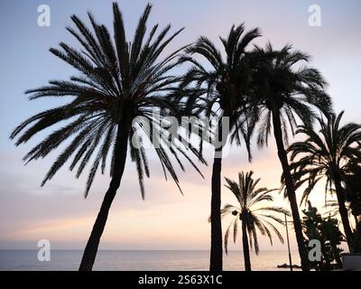 Silhouettes of Plamen in the sunset of Marbella Spain Stock Photo