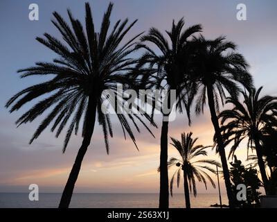 Silhouettes of Plamen in the sunset of Marbella Spain Stock Photo