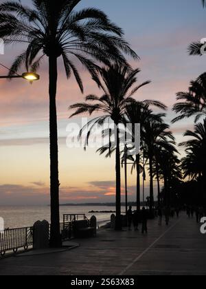 Silhouettes of Plamen in the sunset of Marbella Spain Stock Photo