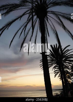 Silhouettes of Plamen in the sunset of Marbella Spain Stock Photo