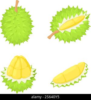 Durian icons set. Isometric set of durian vector icons for web design isolated on white background. Durian icons set, isometric style Stock Vector