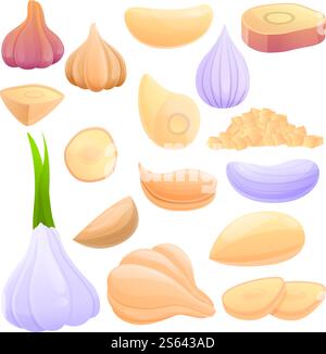Garlic icons set. Cartoon set of garlic vector icons for web design. Garlic icons set, cartoon style Stock Vector