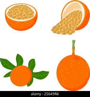 Maracuja icons set. Isometric set of maracuja vector icons for web design isolated on white background. Maracuja icons set, isometric style Stock Vector