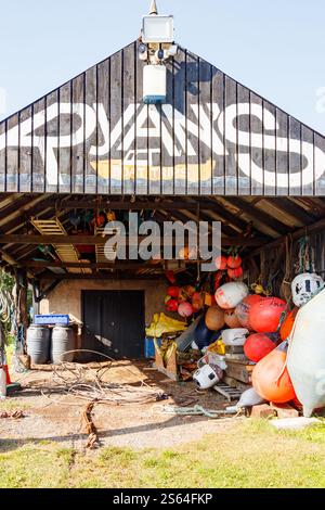 Ryans marine goods floats bumpers in shed craster traditional fishing village northumberland uk Stock Photo