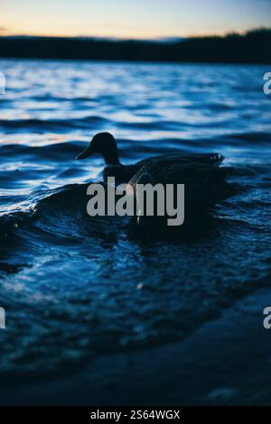 water on the beach edge reflecting light Stock Photo