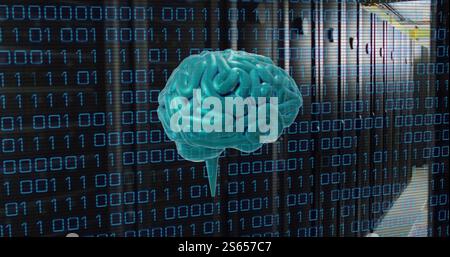 Image of human brain and binary coding data processing over computer servers Stock Photo