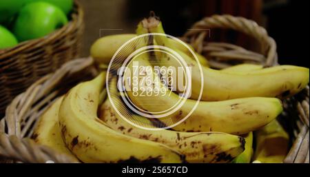 Image of data processing on circle over basket with bananas Stock Photo