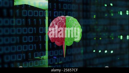Image of human brain and binary coding data processing over computer servers Stock Photo