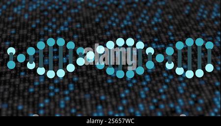 Image of rotating blue dna strand over blue twinkling lights on dark background Stock Photo