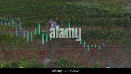 Analyzing financial data image over person in vineyard Stock Photo