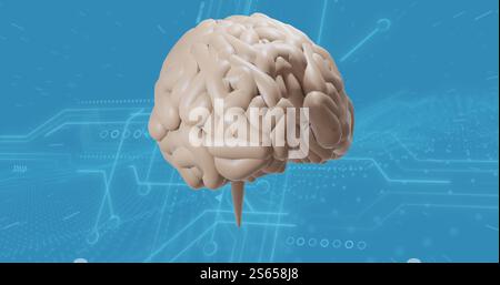 Image of digital brain spinning over connections Stock Photo