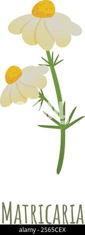 Matricaria chamomile icon. Cartoon of matricaria chamomile vector icon for web design isolated on white background. Matricaria chamomile icon, cartoon style Stock Vector