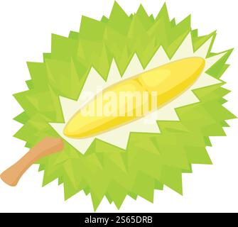Durian exotic fruit icon. Isometric of durian exotic fruit vector icon for web design isolated on white background. Durian exotic fruit icon, isometric style Stock Vector