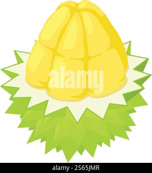 Half durian fruit icon. Isometric of half durian fruit vector icon for web design isolated on white background. Half durian fruit icon, isometric style Stock Vector