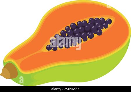 Pawpaw fruit icon. Isometric of pawpaw fruit vector icon for web design isolated on white background. Pawpaw fruit icon, isometric style Stock Vector