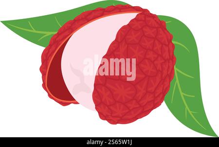 Lychee fruit icon. Isometric of lychee fruit vector icon for web design isolated on white background. Lychee fruit con, isometric style Stock Vector