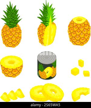 Pineapple icons set. Isometric set of pineapple vector icons for web design isolated on white background. Pineapple icons set, isometric style Stock Vector