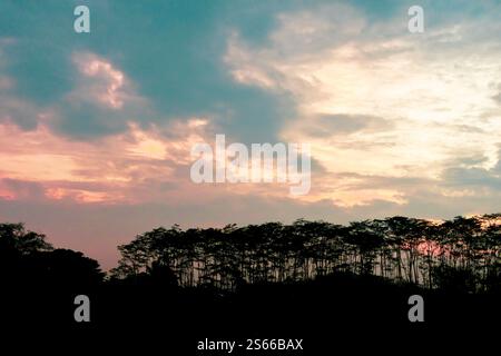 The first light of day breaks through the horizon, as soft shades of teal and vibrant orange fill the sky. Stock Photo