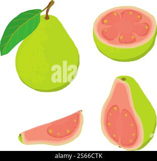Guava icons set. Isometric set of guava vector icons for web design isolated on white background. Guava icons set, isometric style Stock Vector