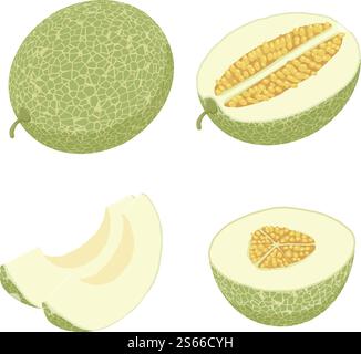 Melon icons set. Isometric set of melon vector icons for web design isolated on white background. Melon icons set, isometric style Stock Vector
