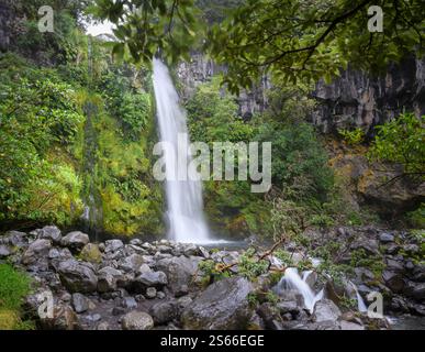 Dawson Falls in the rain. Taranaki. Stock Photo