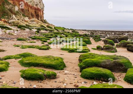 The cliffs and beach in Hunstanton, Norfolk, England, UK Stock Photo