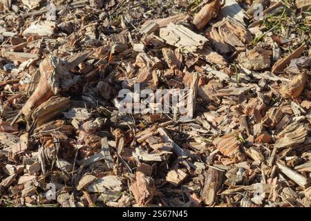 wood chips of various sizes and colors forming a thick layer on the ground. Stock Photo