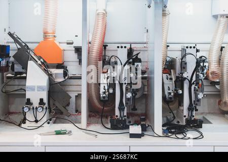 Workshop for the production of particle boards,  manufacture of chipboard, veneer, plywood, wood panels. Wood processing. Woodworking industry Stock Photo