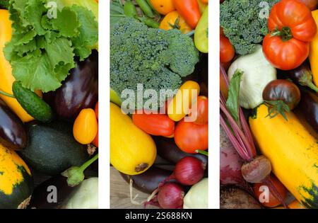 Collage of different colorful vegetables on a wooden background . Harvest and summer season concept. Stock Photo