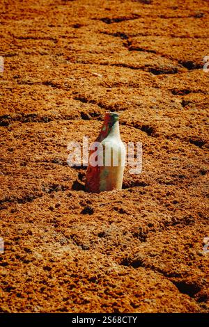 Dry Terrain, Pattern, Bottle, Stock Photo