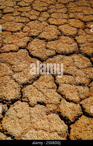 Dry Terrain, Pattern, Bottle, Stock Photo