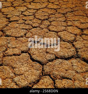 Dry Terrain, Pattern, Bottle, Stock Photo