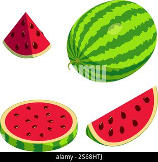 Watermelon icons set. Isometric set of watermelon vector icons for web design isolated on white background. Watermelon icons set, isometric style Stock Vector