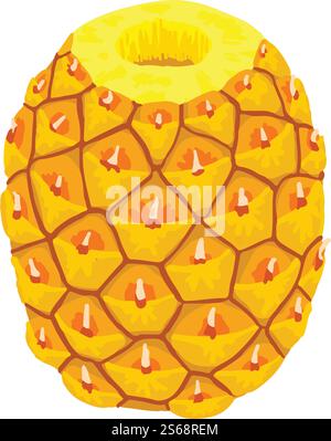 Pineapple icon. Isometric of pineapple vector icon for web design isolated on white background. Pineapple icon, isometric style Stock Vector